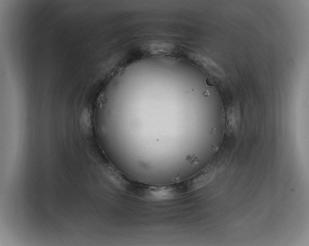 X0000111210667200907081303