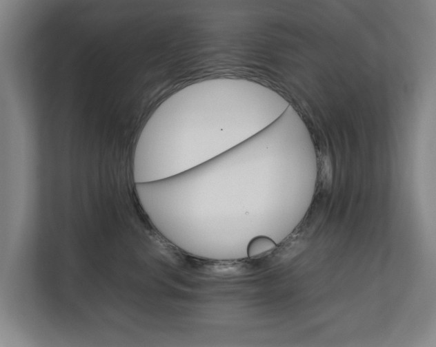 X0000111210668200907081303