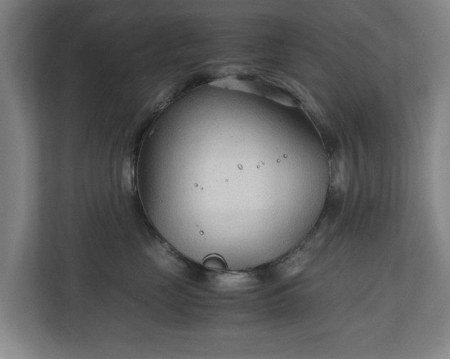 X0000111210669200907081303