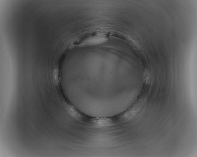 X0000111210670200907081303