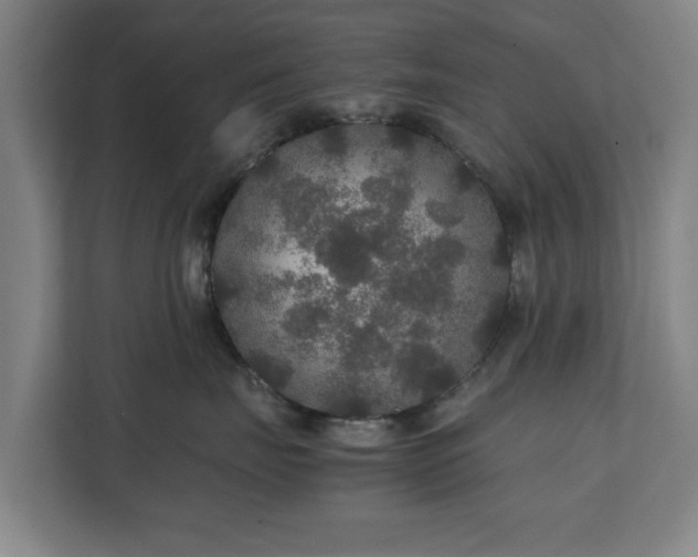 X0000111210671200907081303