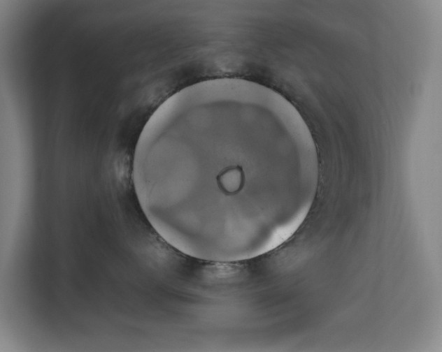 X0000111210672200907081303