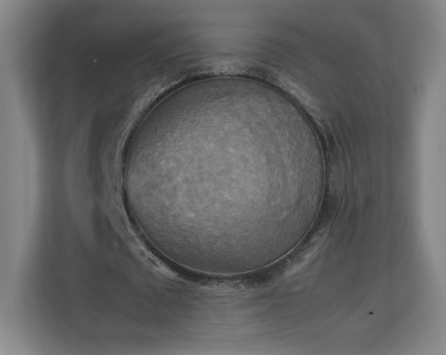 X0000111210673200907081302