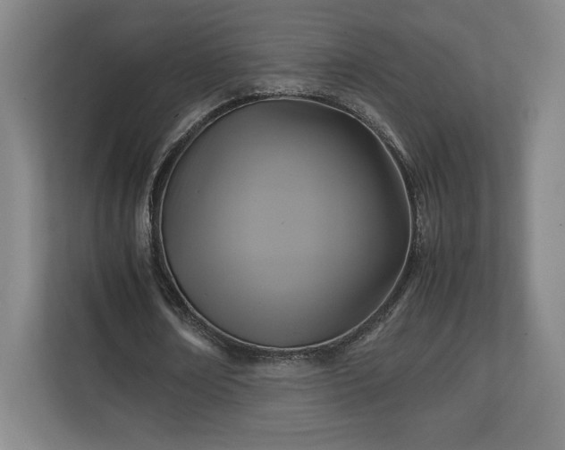 X0000111210674200907081302