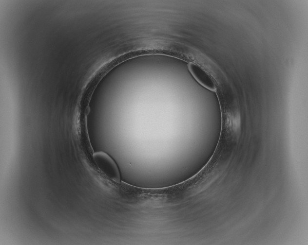 X0000111210676200907081302