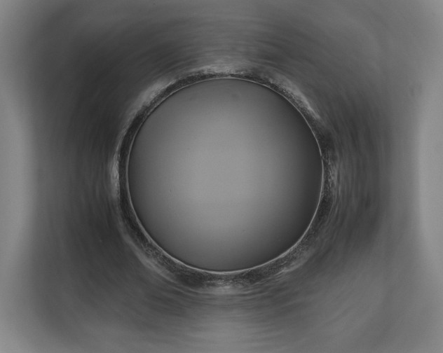 X0000111210678200907081302