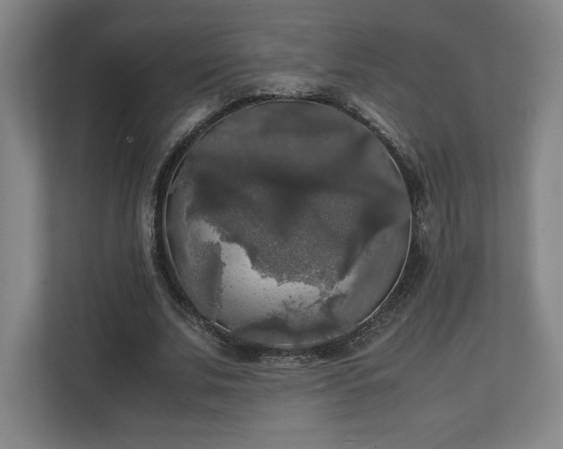 X0000111210679200907081302