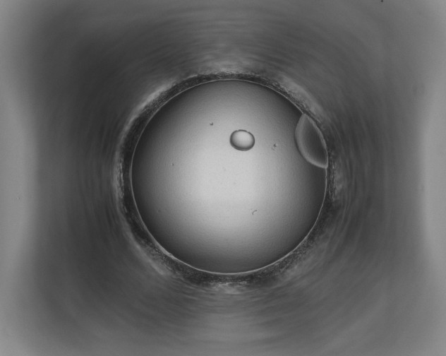 X0000111210680200907081302