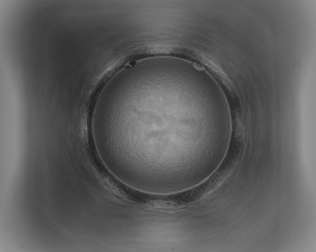 X0000111210681200907081302