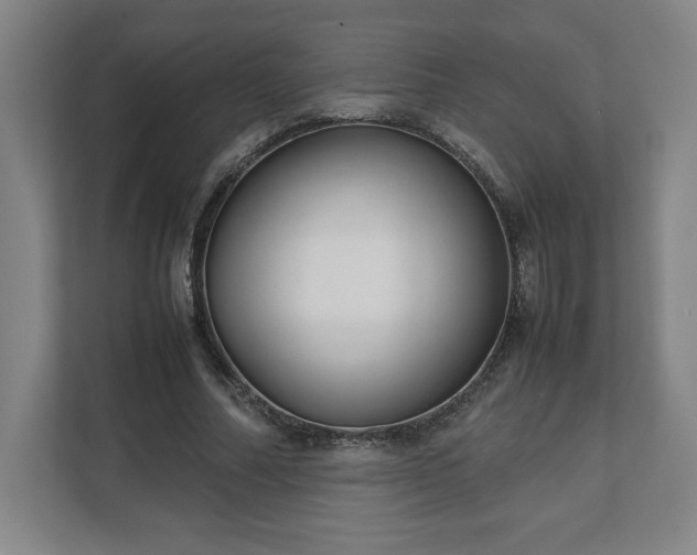 X0000111210682200907081302