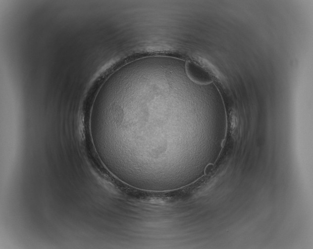 X0000111210684200907081302