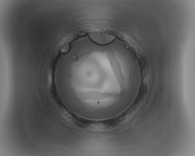 X0000111210685200907081302