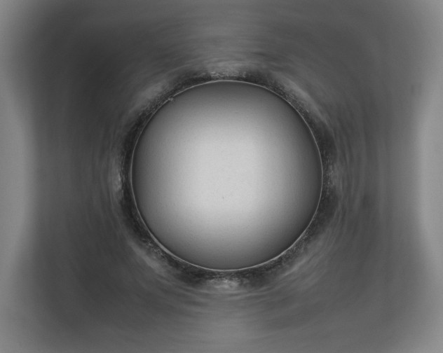 X0000111210687200907081302