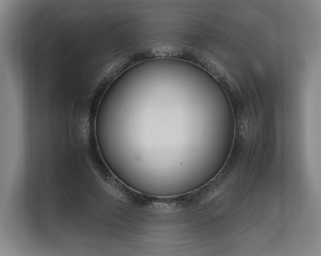 X0000111210690200907081302