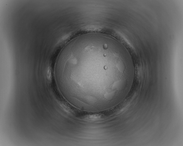 X0000111210692200907081302