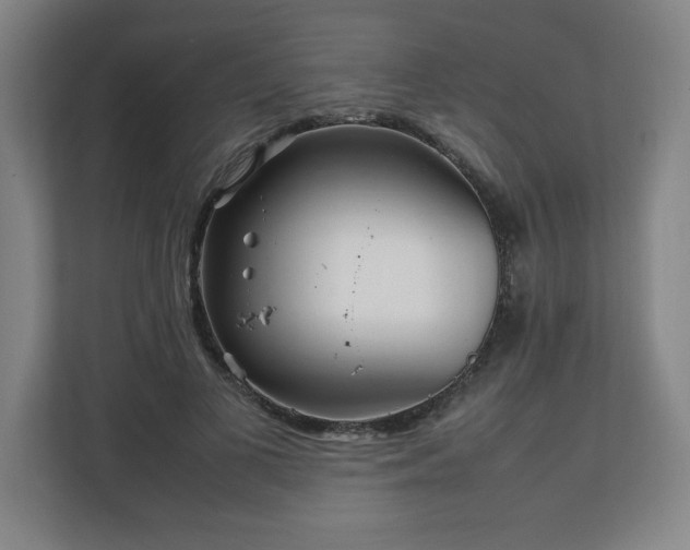 X0000111210693200907081302