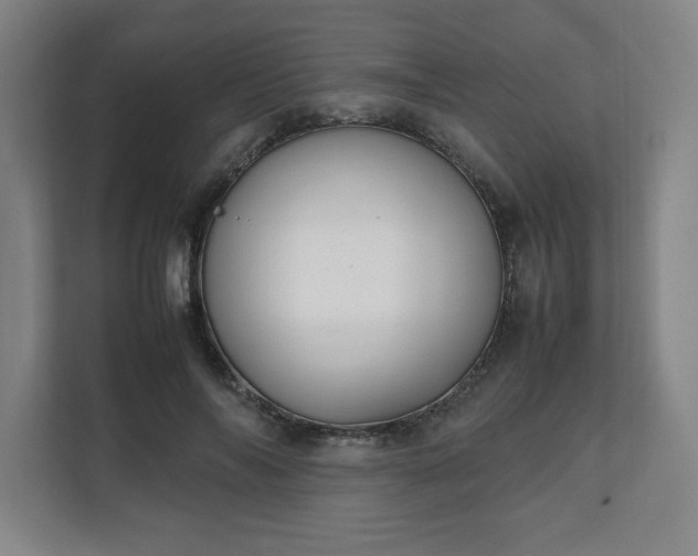 X0000111210694200907081302