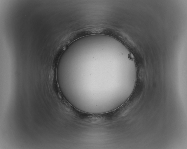 X0000111210697200907081302