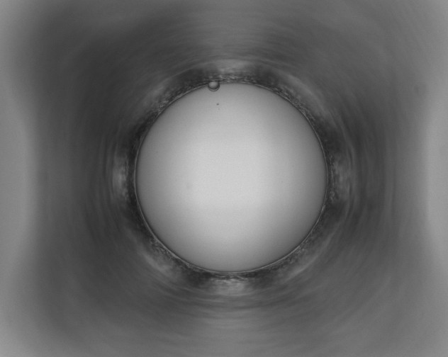 X0000111210698200907081302