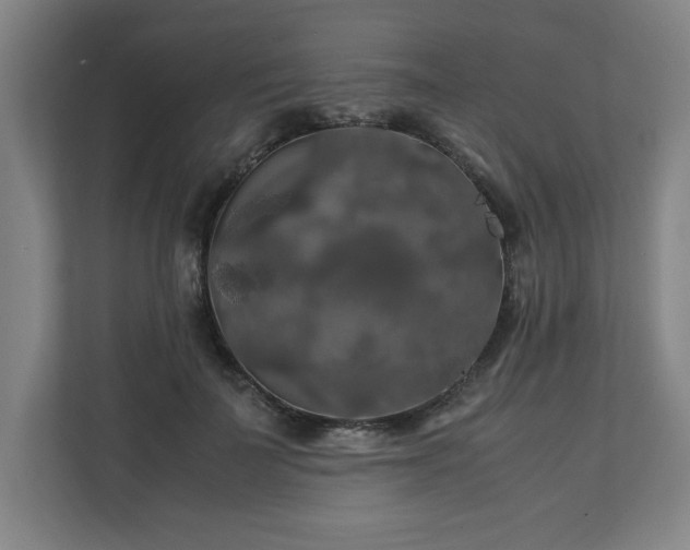 X0000111210699200907081302