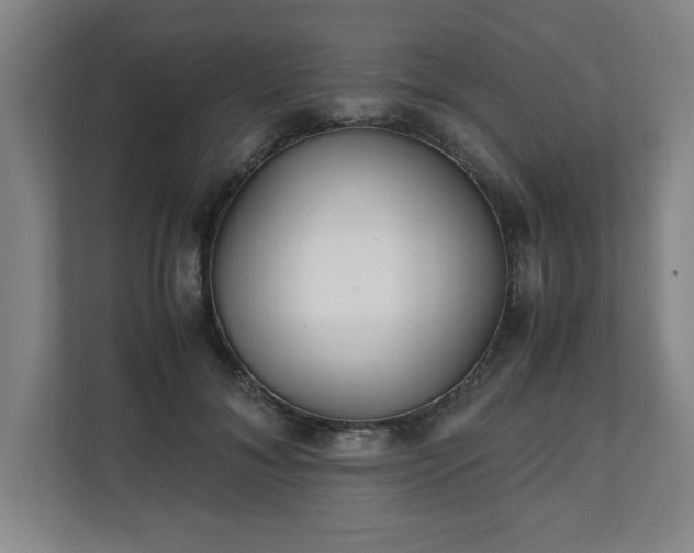 X0000111210700200907081302