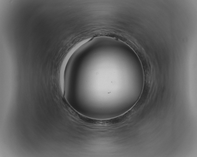 X0000111210701200907081302