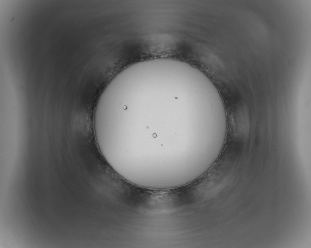 X0000111210705200907081302