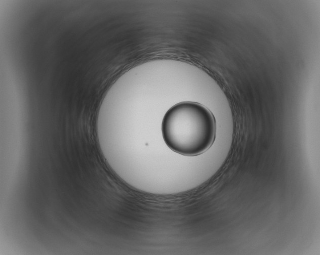 X0000111210708200907081302