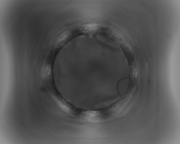 X0000111210711200907081302