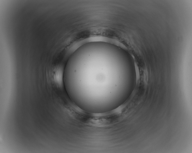 X0000111210712200907081302