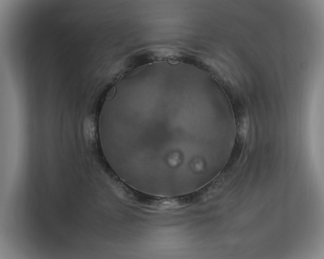 X0000111210715200907081302