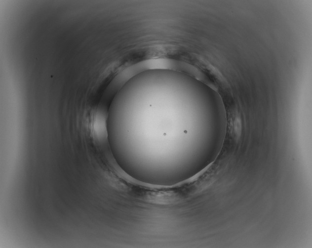 X0000111210716200907081302