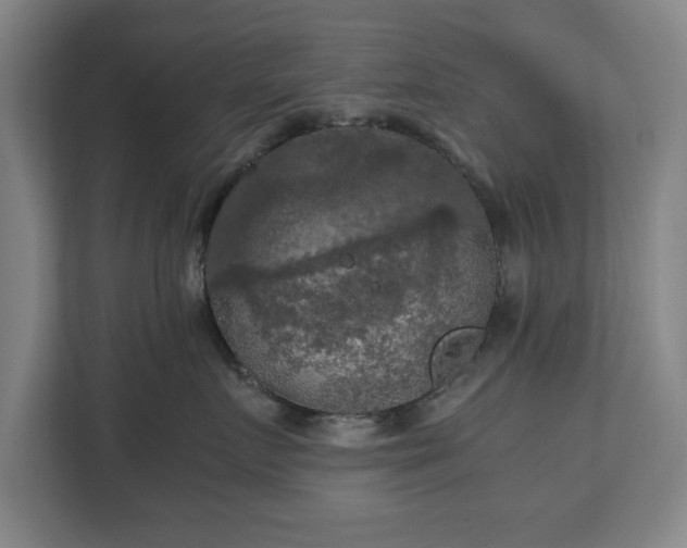 X0000111210719200907081302