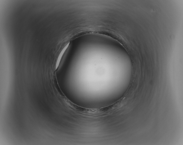 X0000111210720200907081302