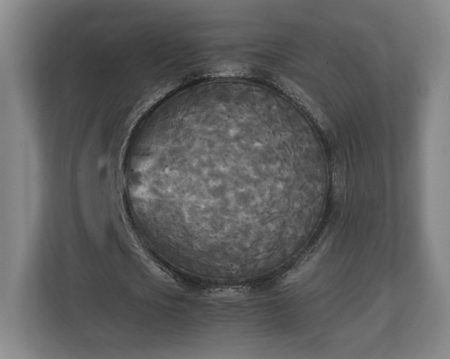 X0000111210721200907081301