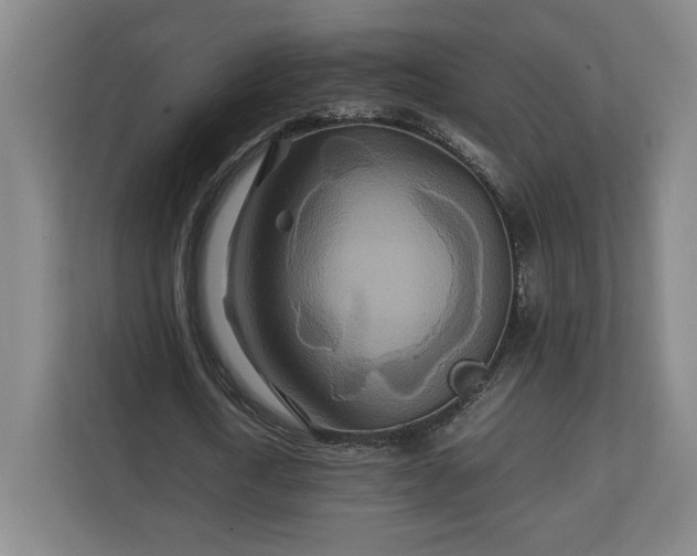 X0000111210722200907081301