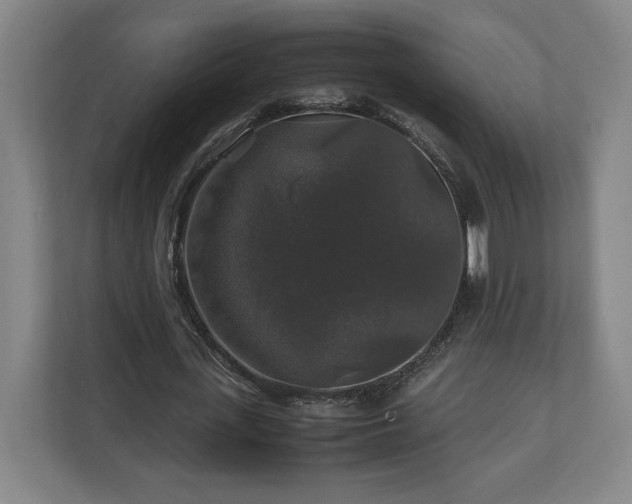 X0000111210723200907081301