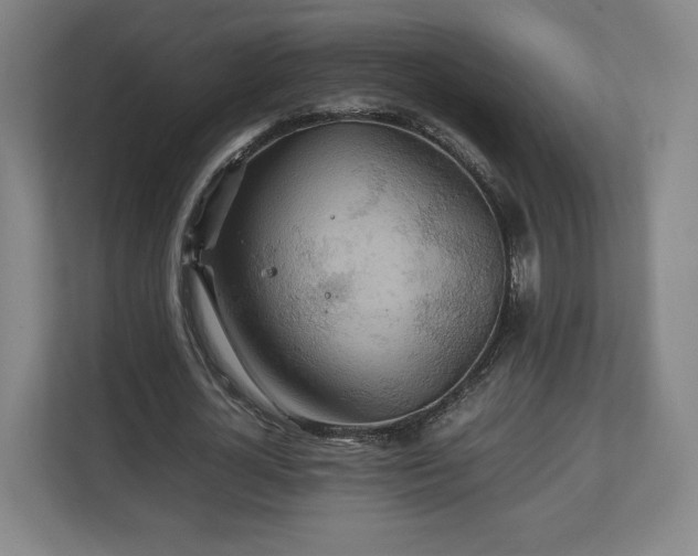 X0000111210724200907081301