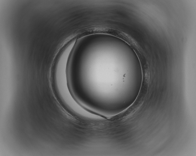 X0000111210725200907081301