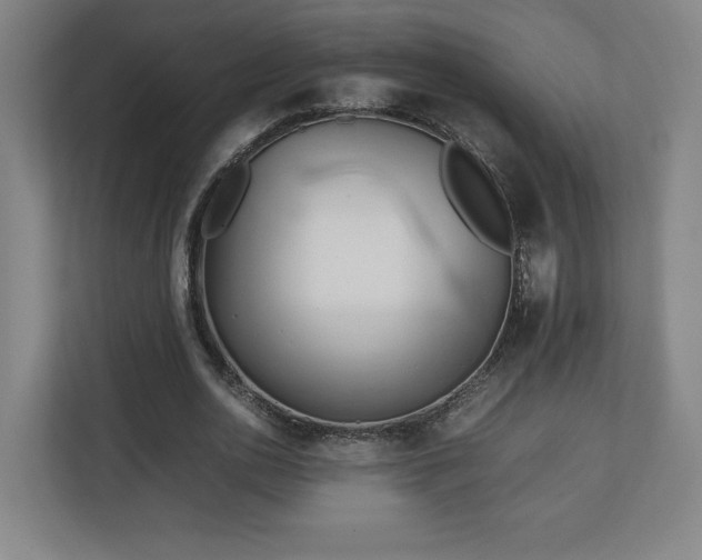 X0000111210726200907081301