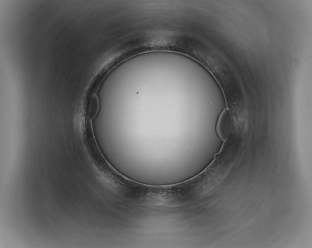 X0000111210728200907081301