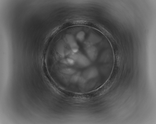 X0000111210729200907081301