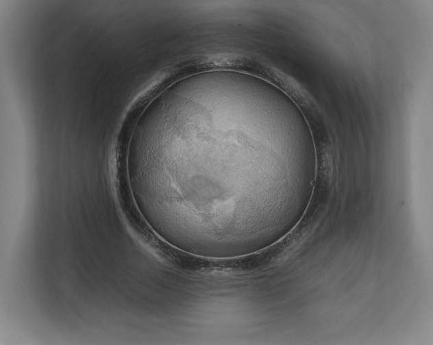 X0000111210730200907081301