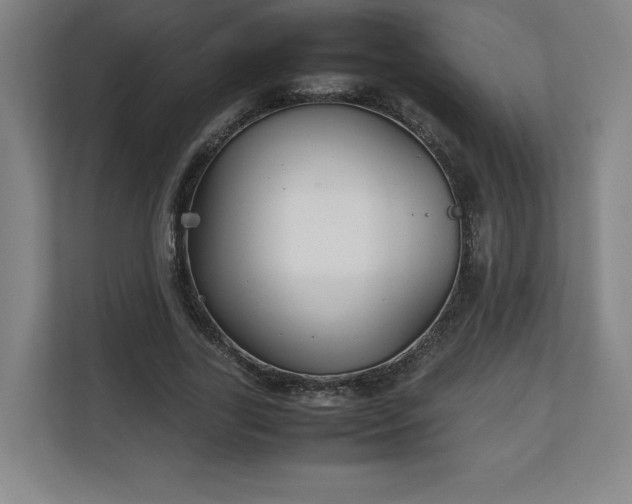 X0000111210731200907081301