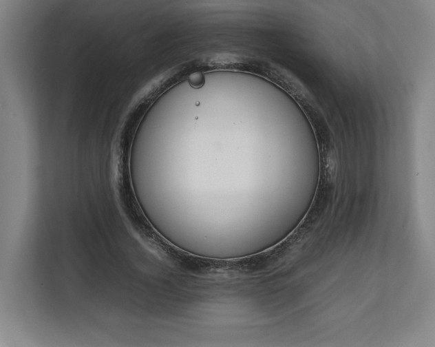 X0000111210732200907081301