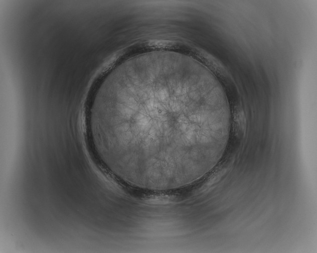 X0000111210734200907081301