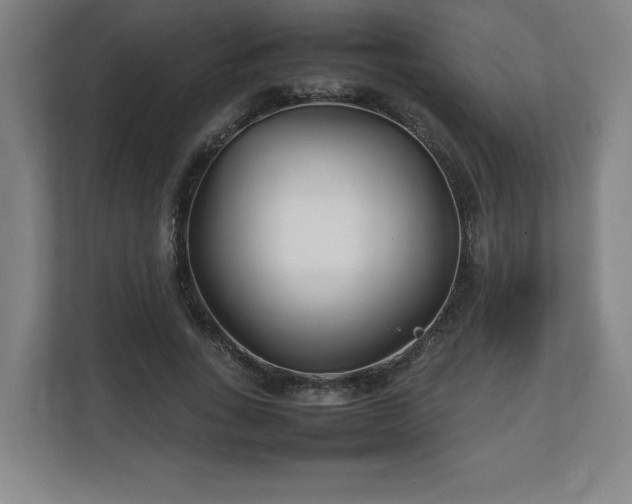 X0000111210735200907081301