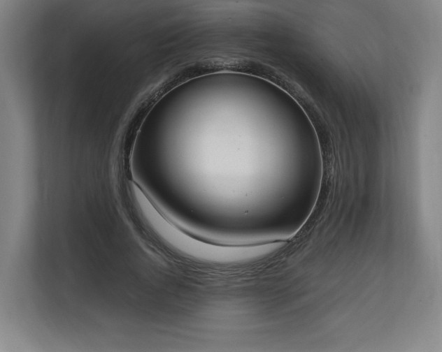 X0000111210736200907081301