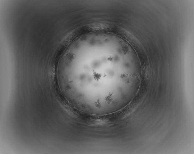 X0000111210737200907081301