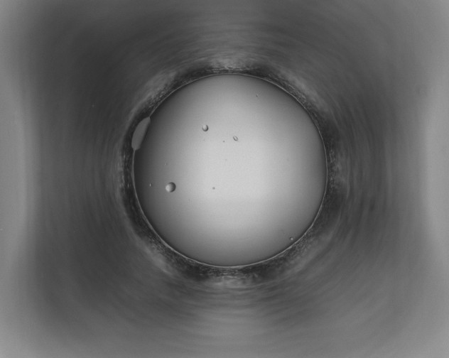 X0000111210738200907081301